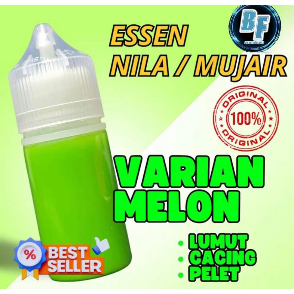 Essen Khusus Ikan Nila Liaran Dan Kolam Paling Manjur Essen Khusus Ikan Nila Media Lumut Cacing Band