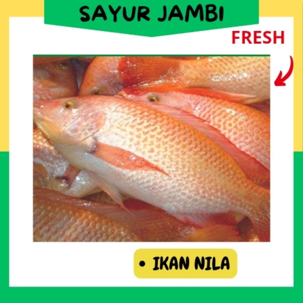 

Ikan Nila fresh/hidup~sayurjambi