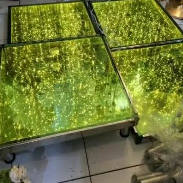 Lantai Kaca, Flooring Stage Dekorasi Pernikahan