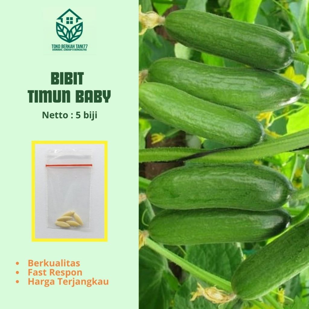 Benih Timun Baby Bibit Timun Baby  Timun Lalap Terbaik (5 Biji)