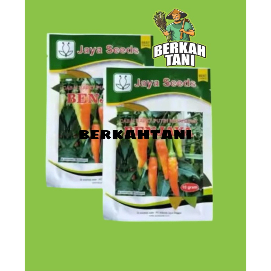 Benih Cabai BENJAYA Bibit Cabe Rawit Merunduk Unggulan Jaya Seed