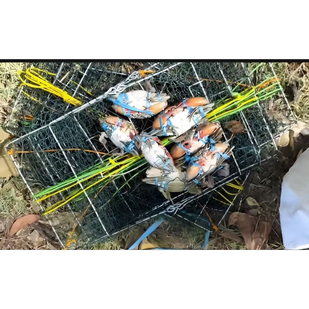 10 Set Perangkap jaring bubu kepiting anti karat ukuran 43x28x16 siap pakai