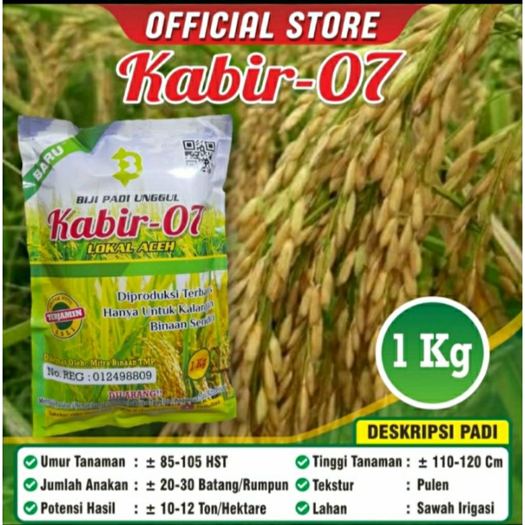 benih padi unggul kabir 07