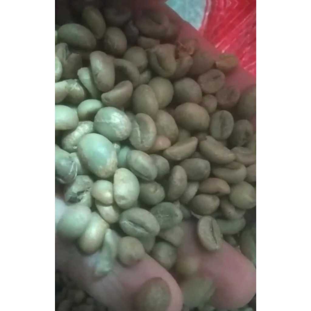 

Biji Kopi Green Bean Robusta Premium