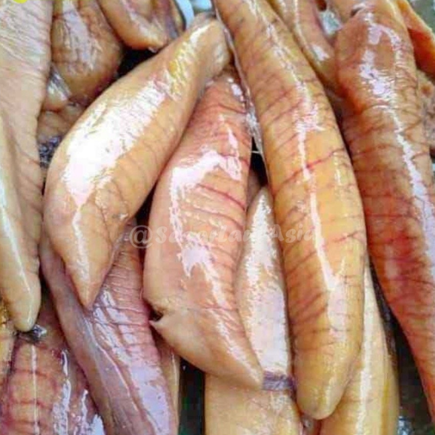 Telur Ikan Tenggiri 1Kg Telur Ikan Tenggiri Segar Telur Ikan Tenggiri Telor Ikan Tenggiri Segar Telu