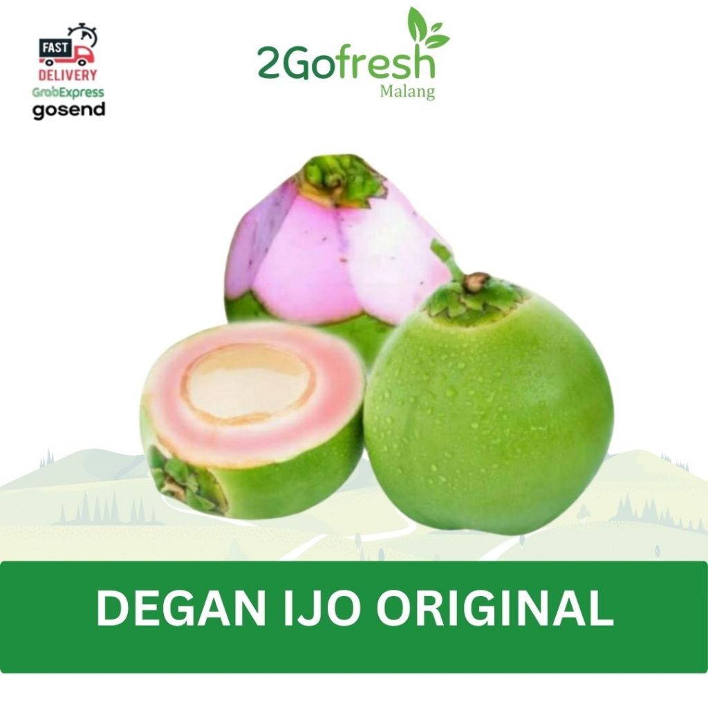 Kelapa Muda Hijau / Degan ijo Murni / Kelapa Wulung Original (Banyak Khasiat)