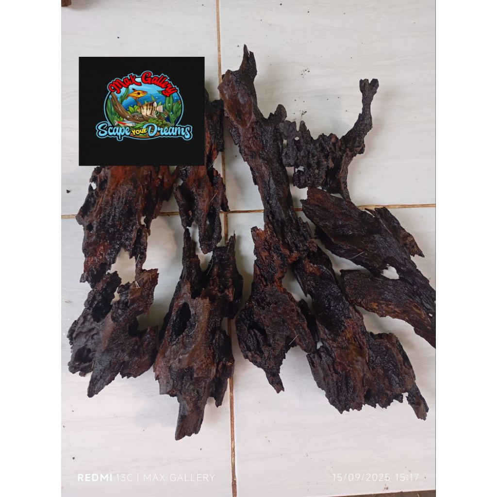 Kayu Rentek Size Mini Driftwood Aquarium Aquascape