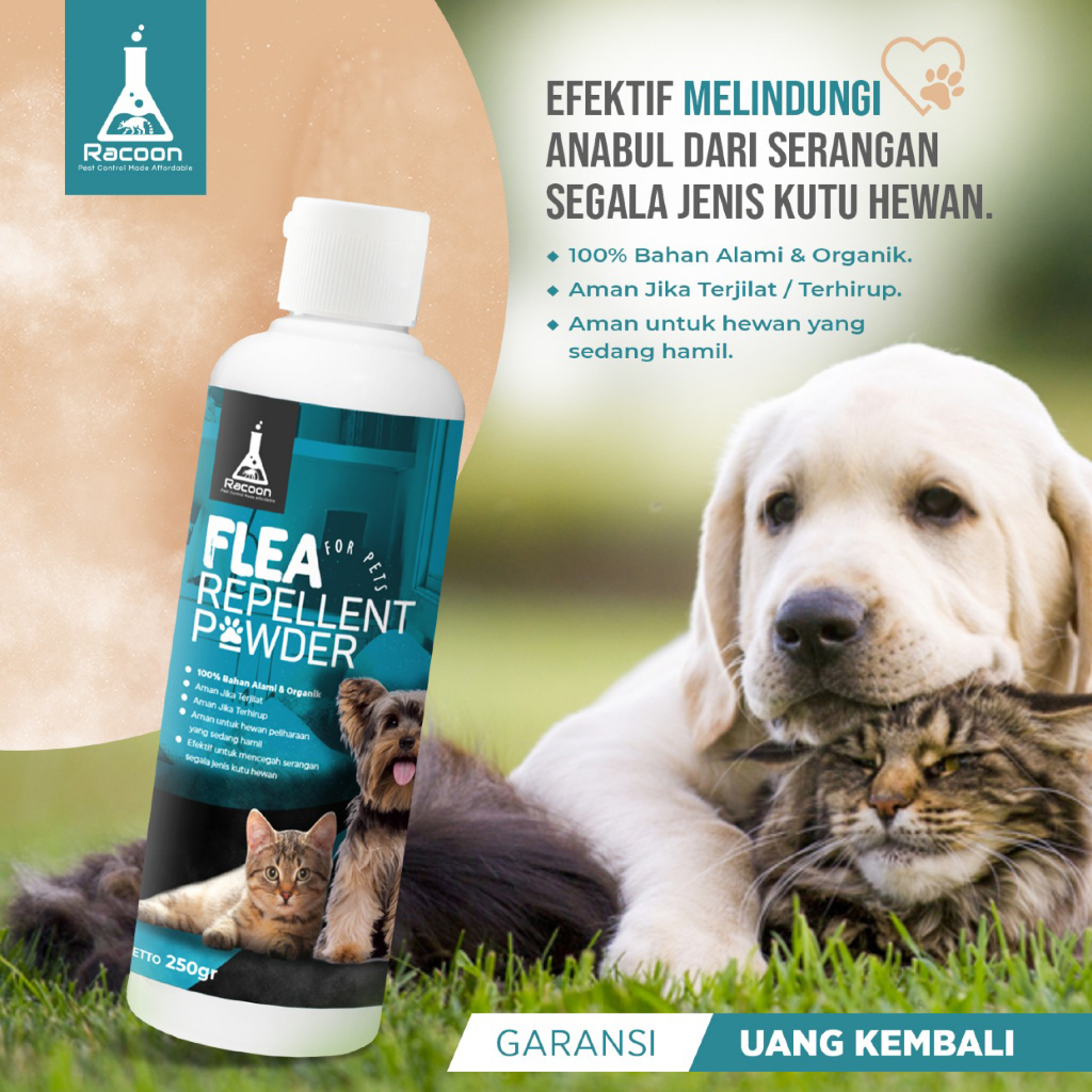 Racoon Bedak Pencegah Kutu Hewan 100% Bahan Alami & Organik Flea Repellent RACOON Garansi Uang Kemba