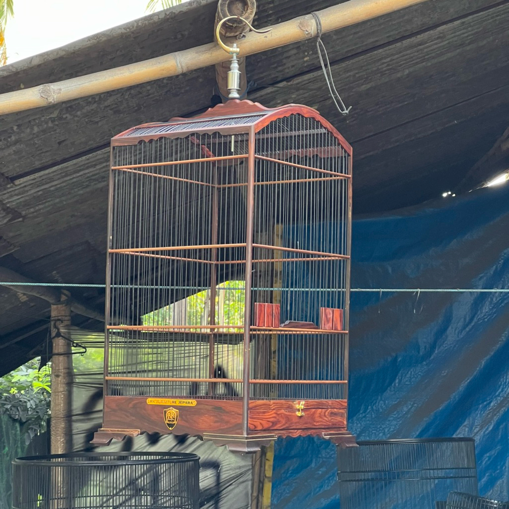 sangkar kosan ceper sonokeling