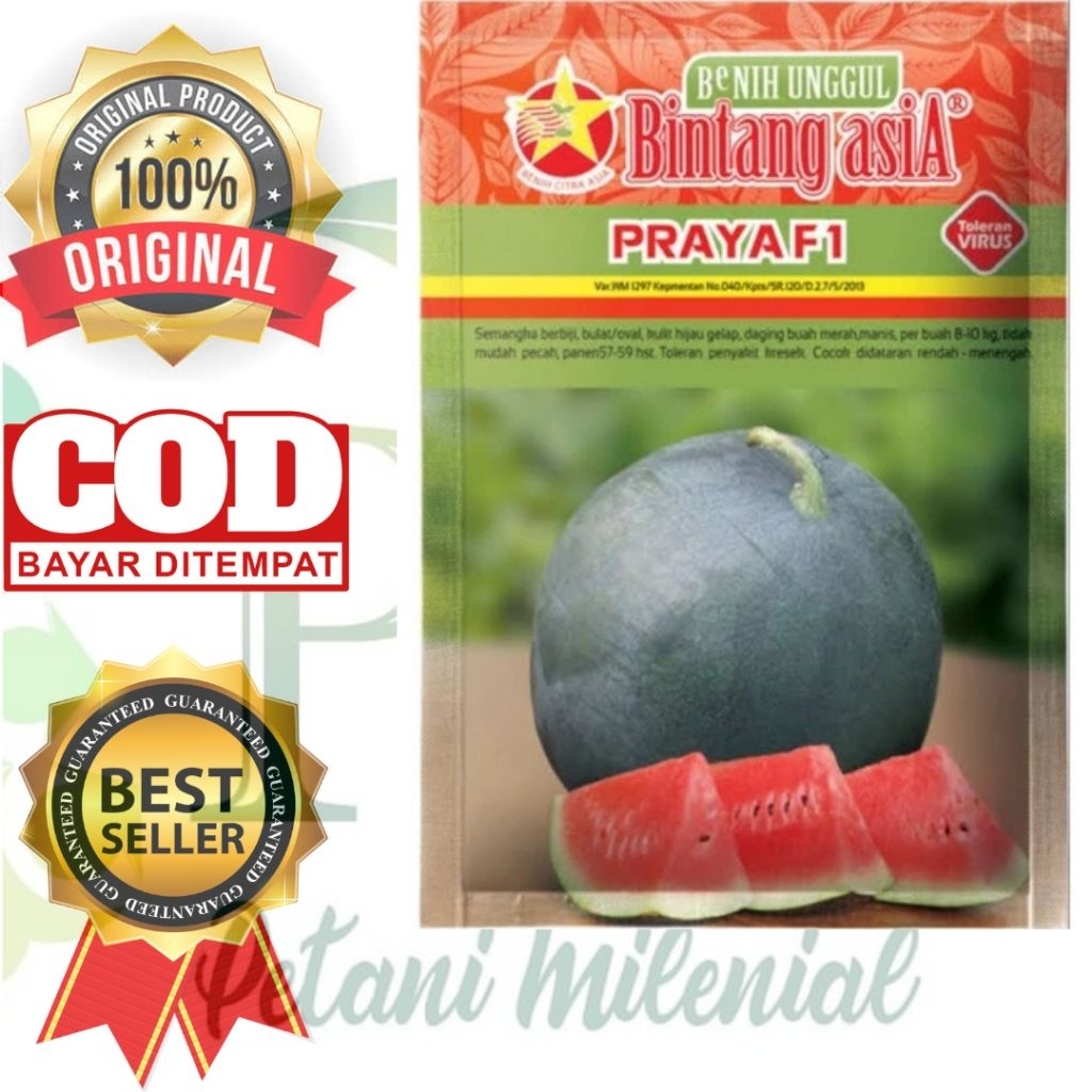 Benih Semangka Praya 20 gram - Bibit semangka blackred bulat merah berbiji