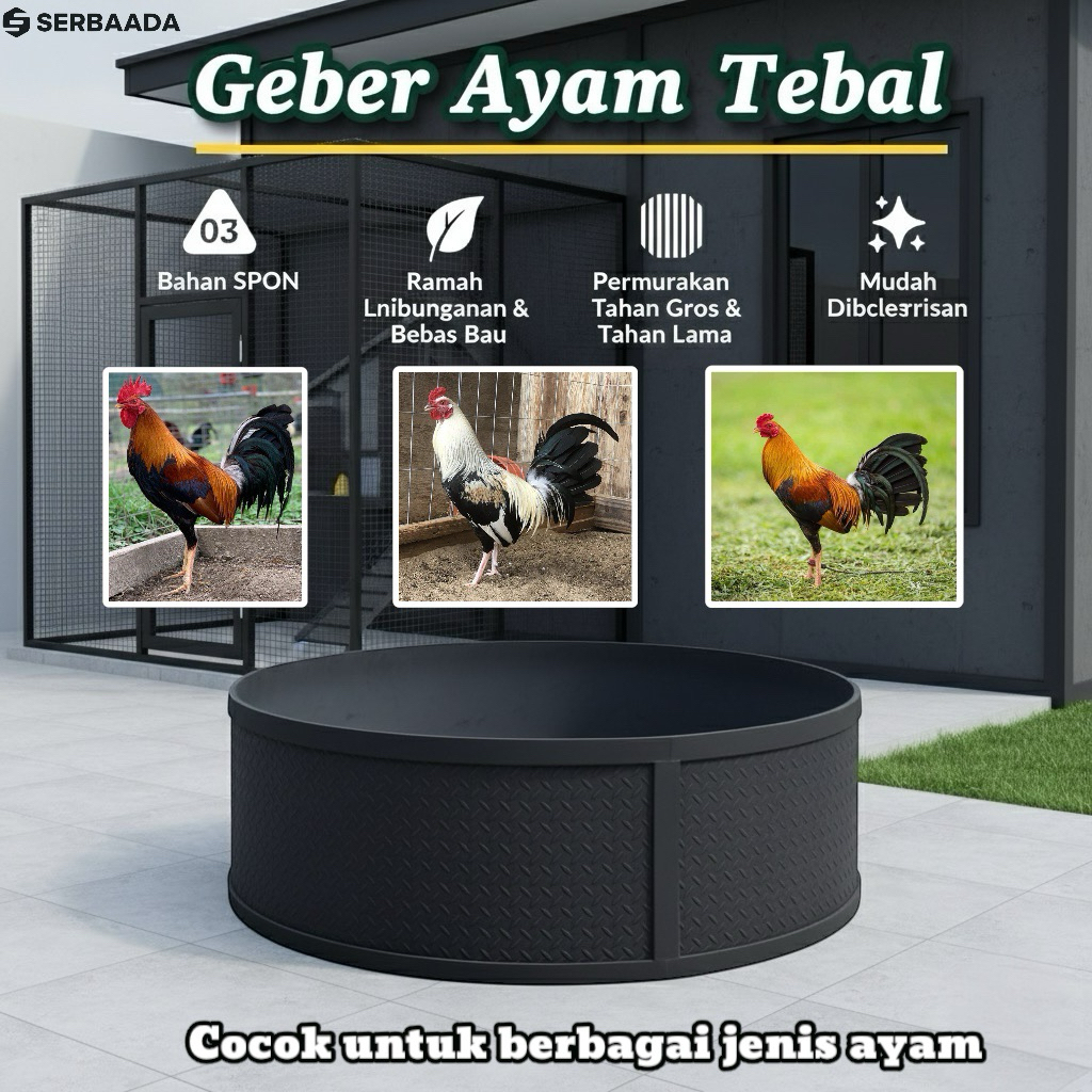 geber ayam murah ukuran 2x2 tidak tembus (BERANTEM/ADU AYAM )UNIK BISA DI PAKETKAN