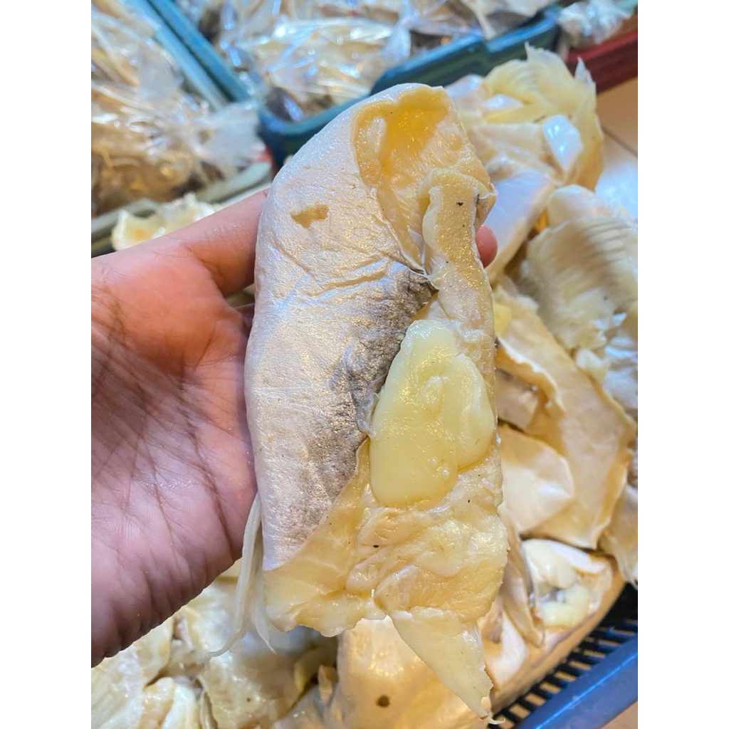 IKAN ASIN PATIN LEMAK PERUT PATIN