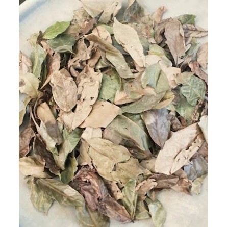 

Daun Jengkol Kering 250 gram / Daun Jengkol Kering 100 gram Alami