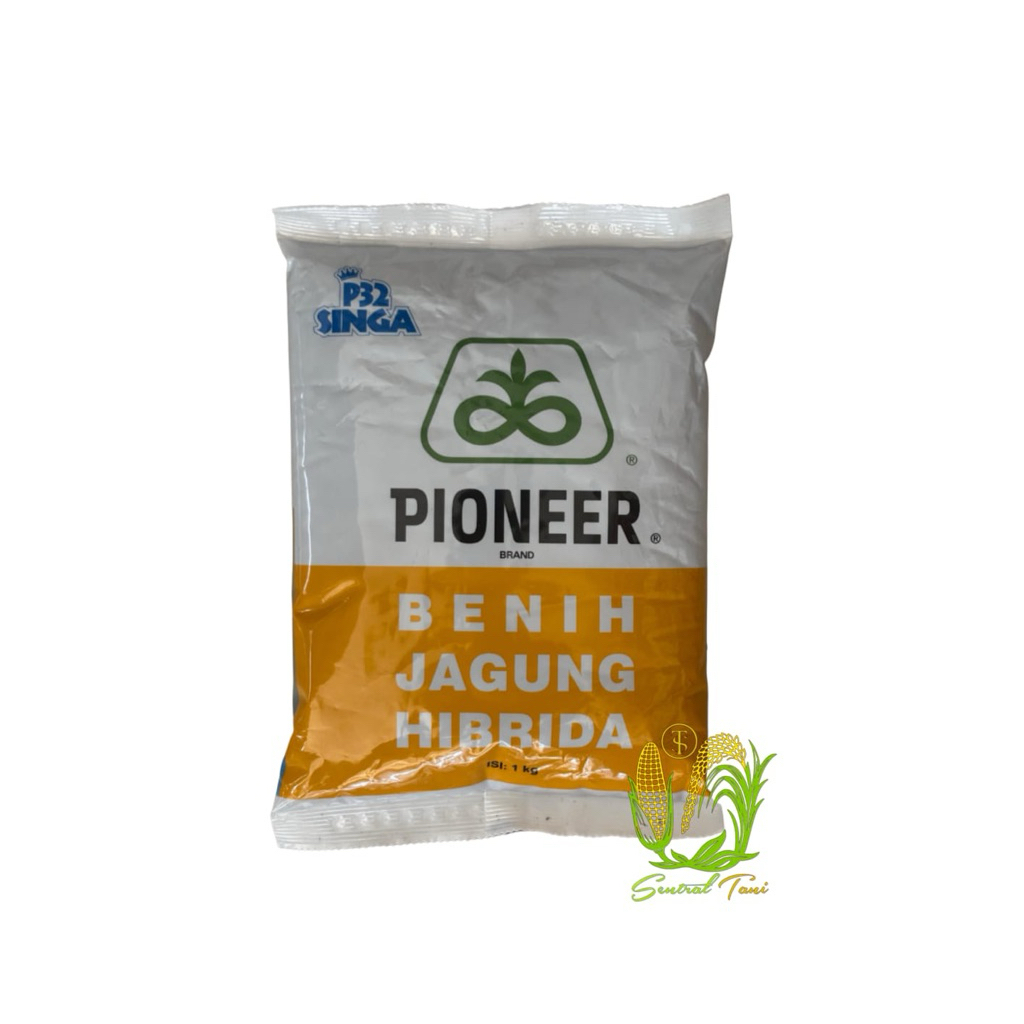 Benih Jagung Pioneer P32 Singa 1 Kg