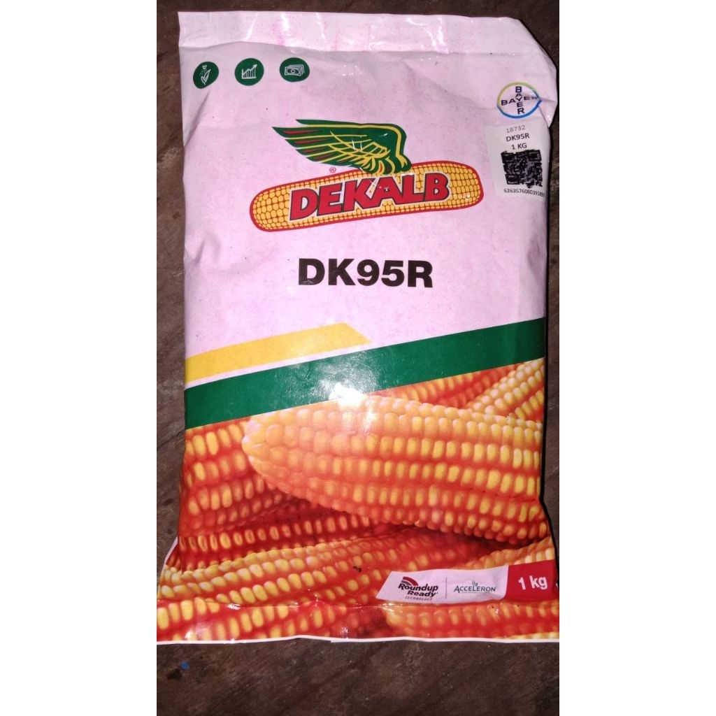 Benih Jagung Hibrida DEKALB DK95R Kemasan 1kg