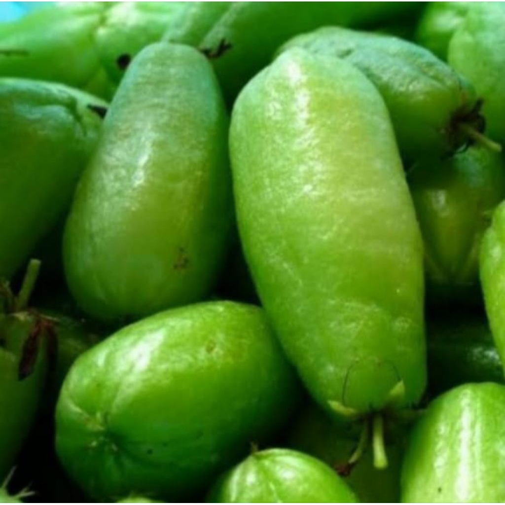 belimbing wuluh/sayur fresh