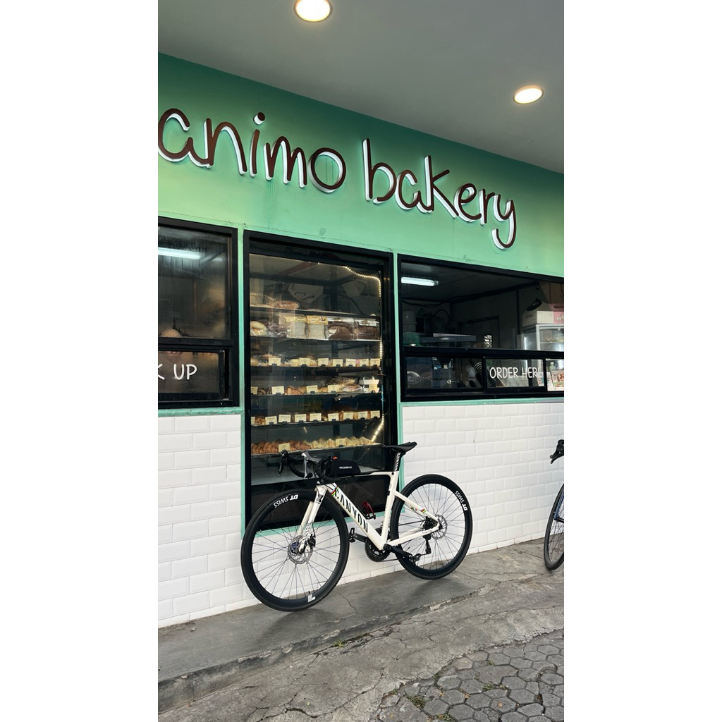 Pacific paradox decal look like canyon