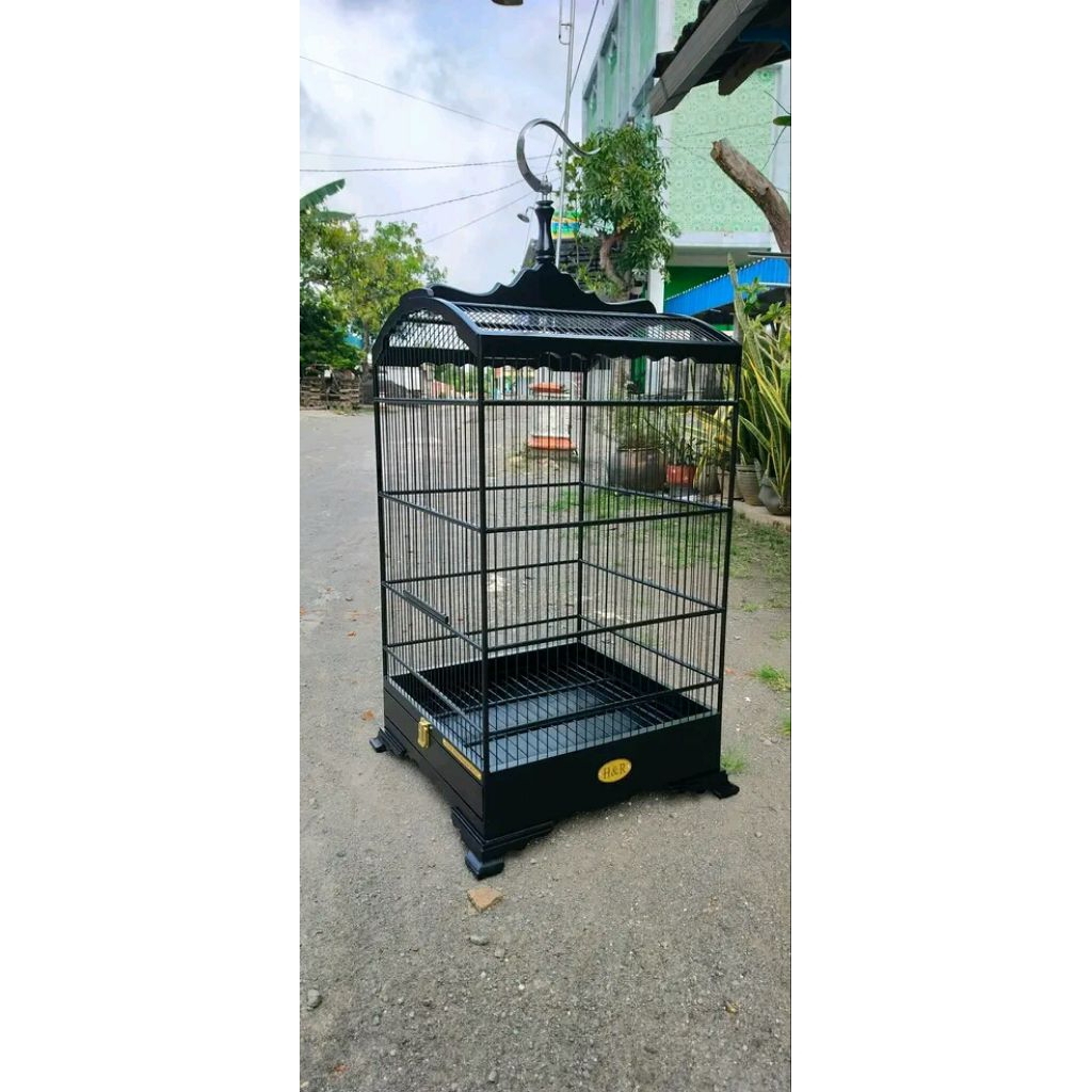 Sangkar burung model kosan ceper 40*40 ambrukan ,mentahan lacian