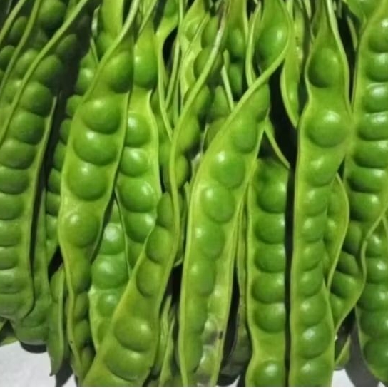 

Pete tua super 1 lonjor