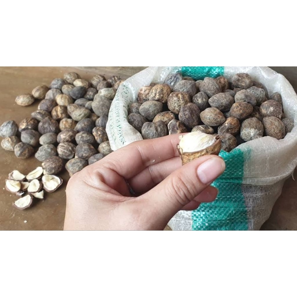 1KILO KEMIRI KULIT UTUH PREMIUM