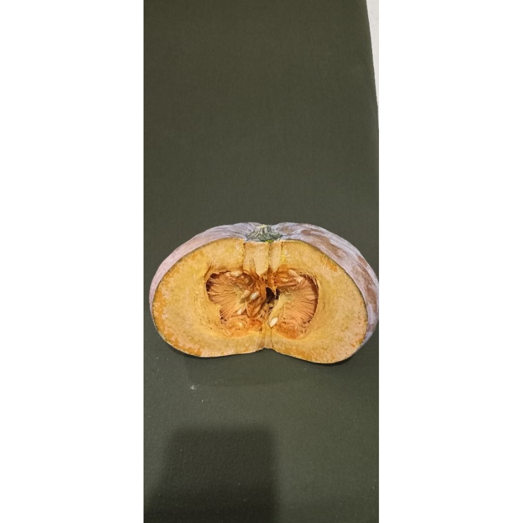 Waluh Waloh Labu Jenis Suprema Ketan