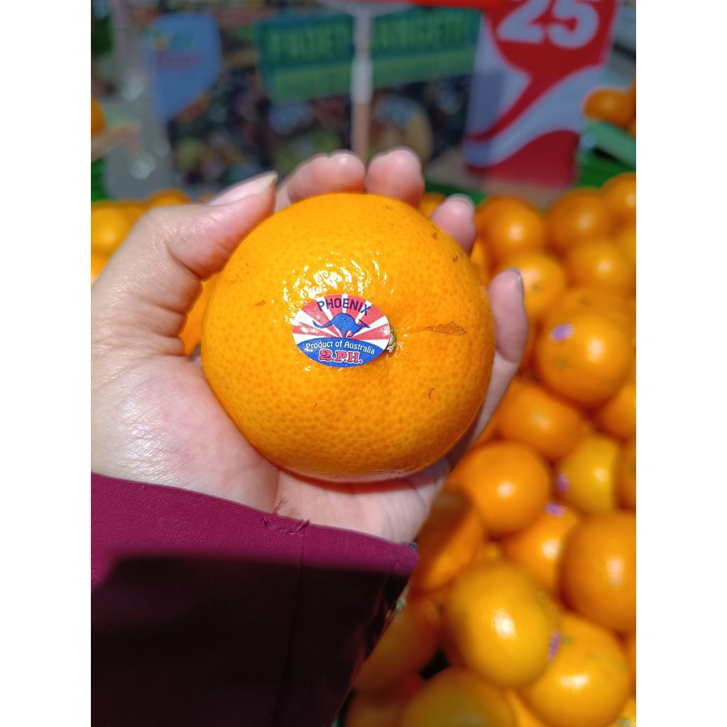 Jeruk Mandarin Honey Murcot / Kg