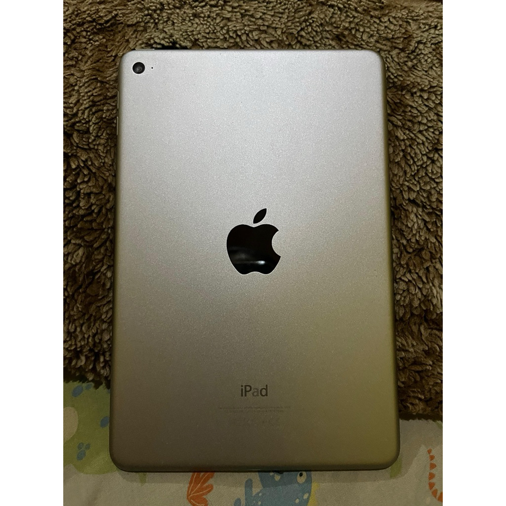 ipad mini 4 128gb wifi only
