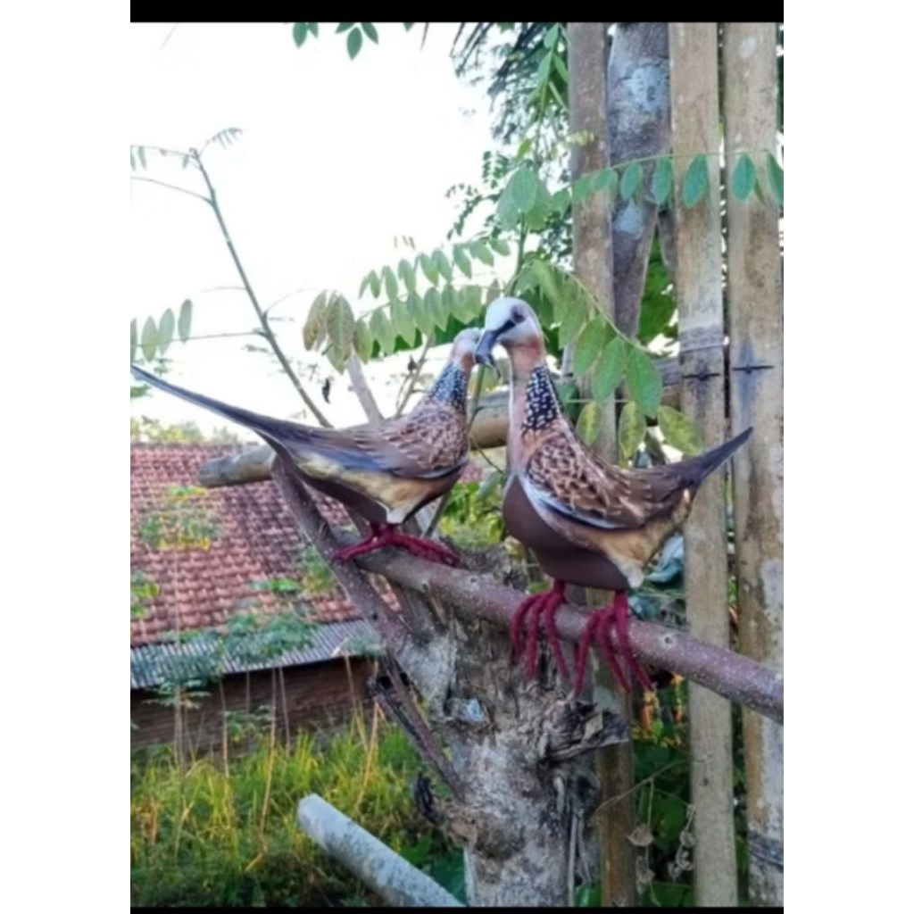 Patung Jontrot Tekukur Decoy Patung Busa Lentur Tahan Air