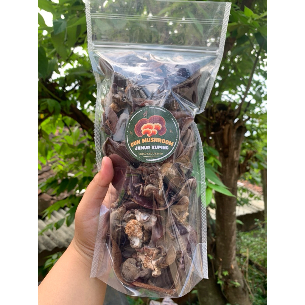 

jamur kuping basah