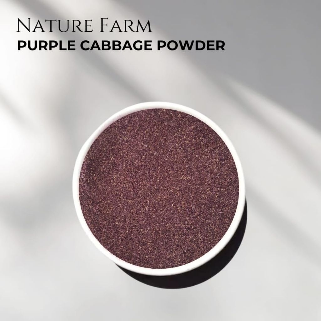 

Nature Farm Premium Pure Purple Cabbage Powder / Bubuk Kubis Ungu 500gr Vegetable Powder