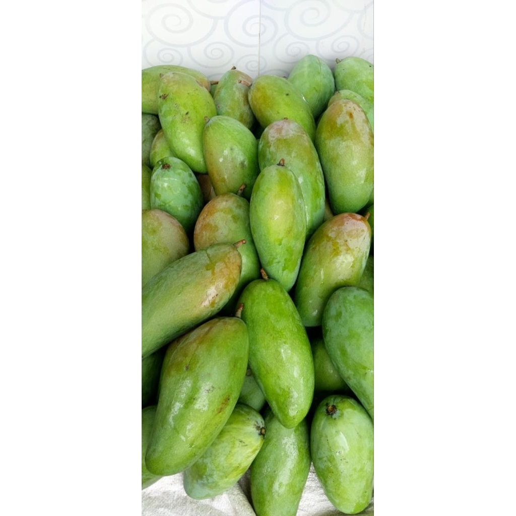 

Mangga Kiojay 1kg