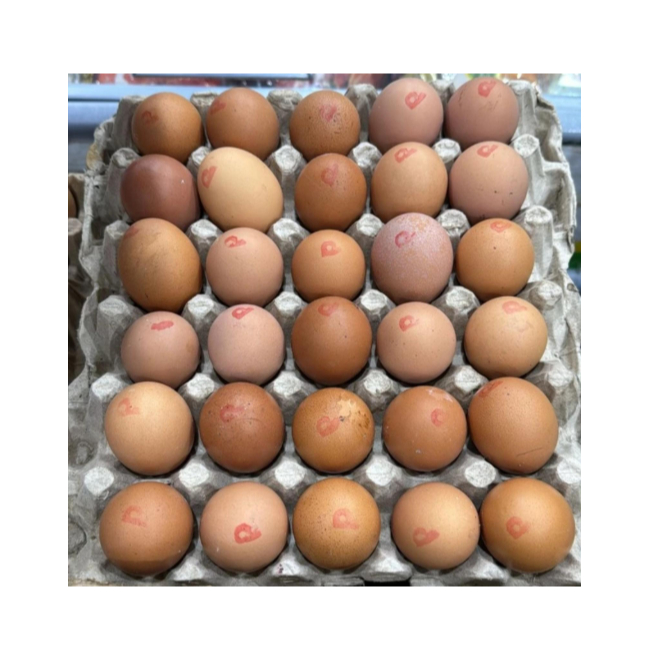 Telur Ayam Omega 3 Telor Ayam