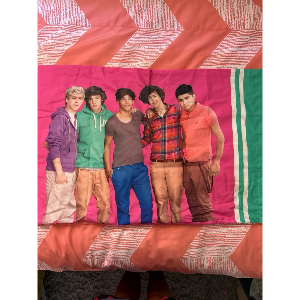 One Direcrion REALLY RARE OFFICIAL MERCH