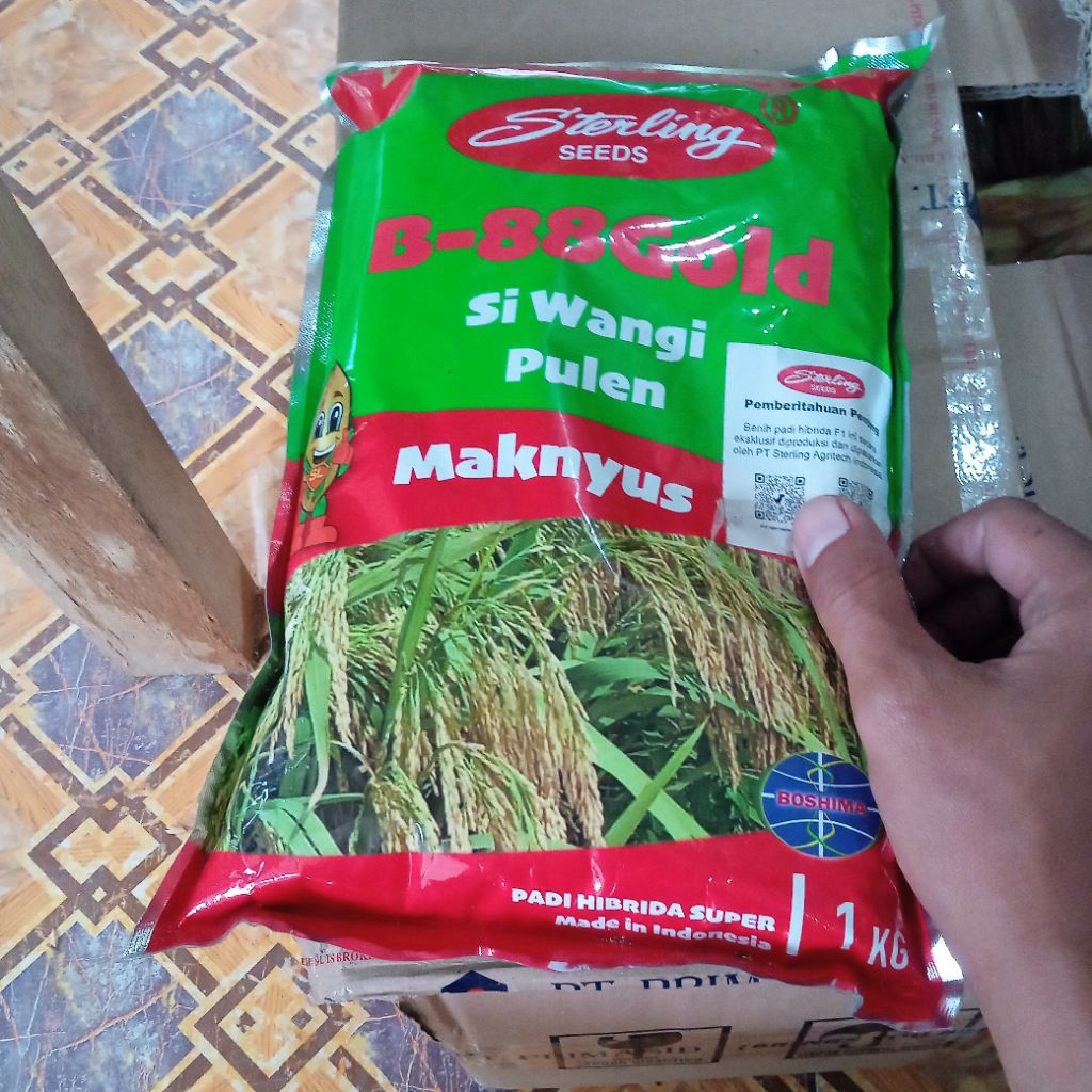 Sterling B-88 Gold Maknyus Benih Padi Hibrida Si Wangi Pulen