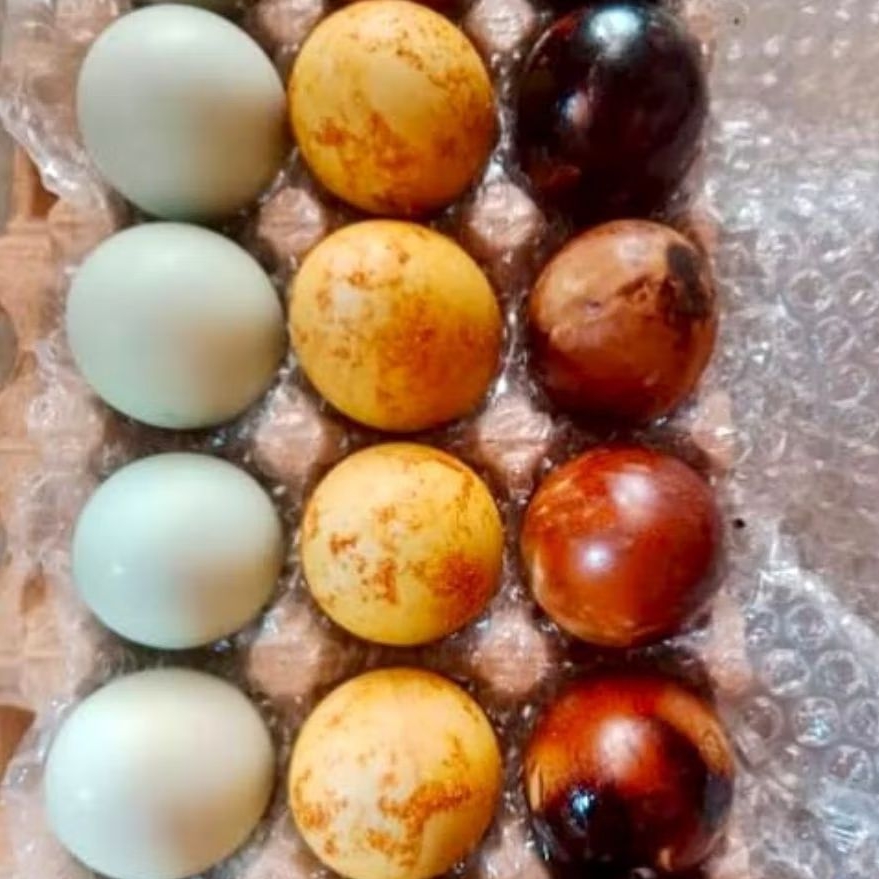 

Telor asin omega pindang asli Brebes ukuran besar telor asin Masir asli telor bebek Telor asin Brebes rasa enak dan nikmat