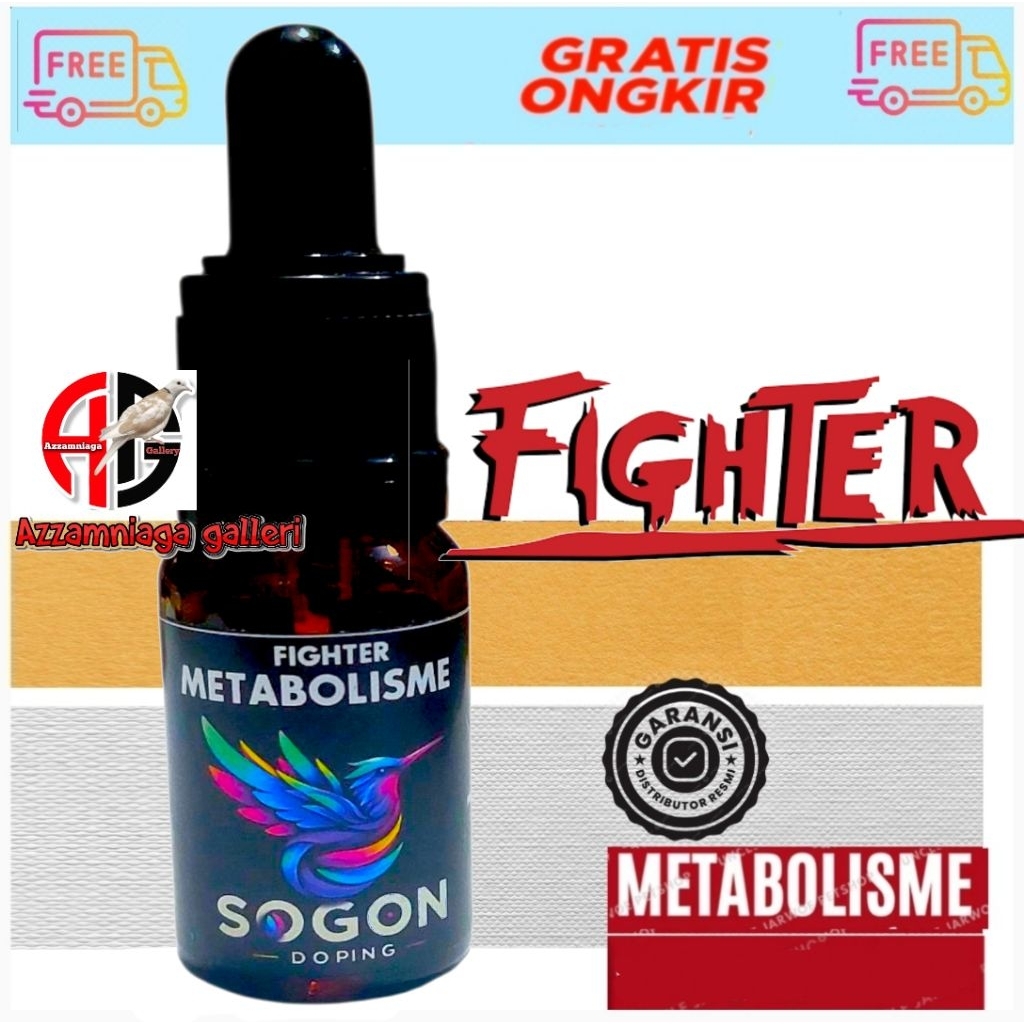 METABOLISME FIGHTER  SOGON METABOLISME PLECI