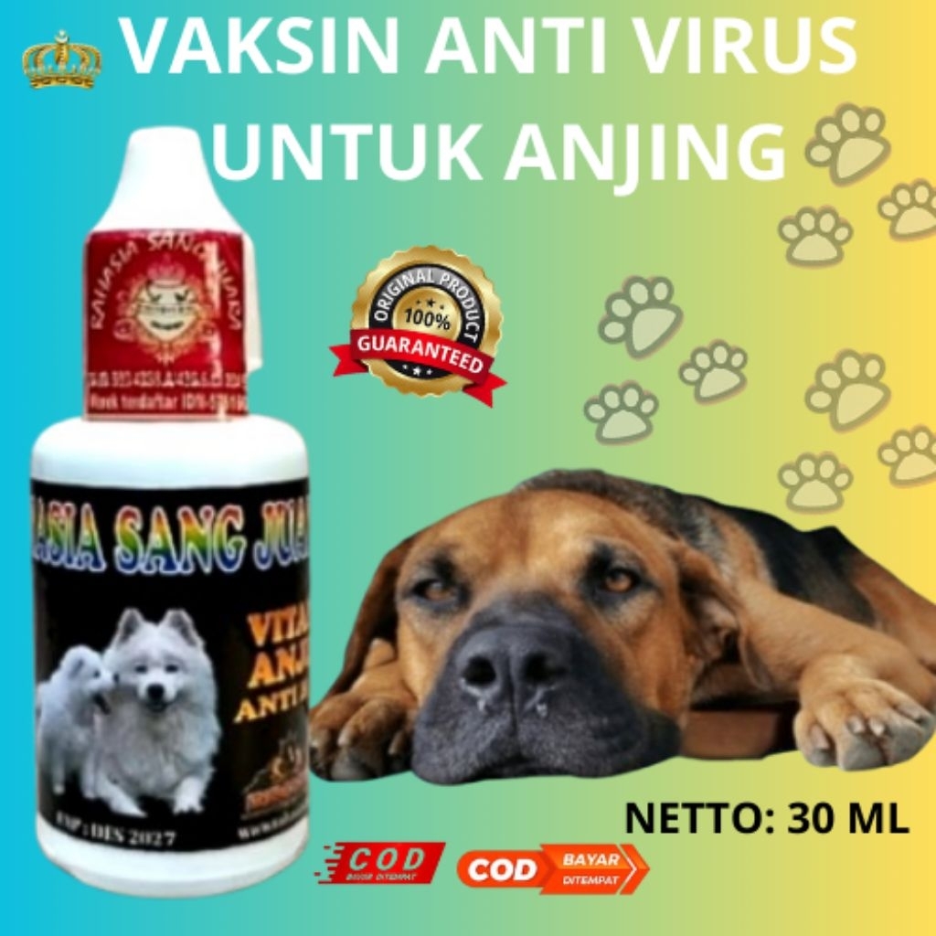VAKSIN ANTI VIRUS UNTUK ANJING KESAYANGAN ANDA