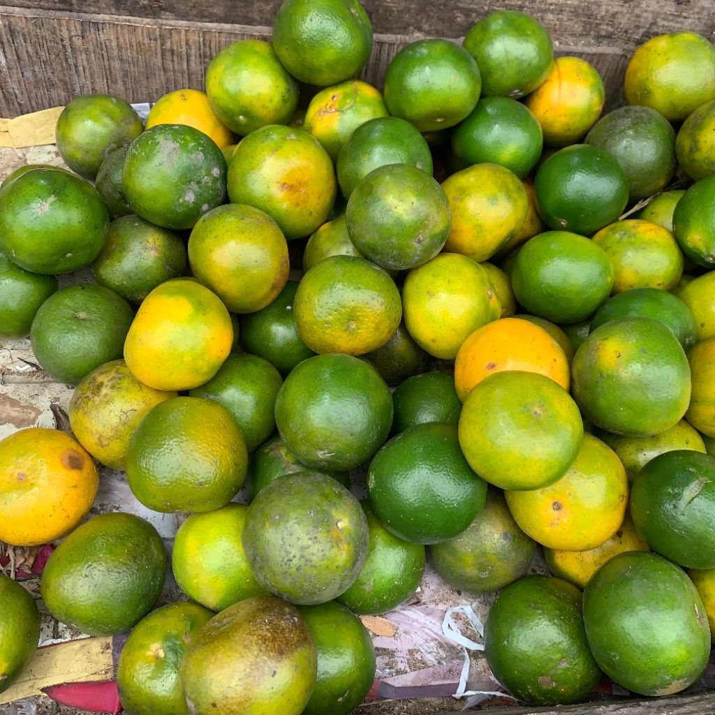 

Jeruk Peras Pontianak 1kg