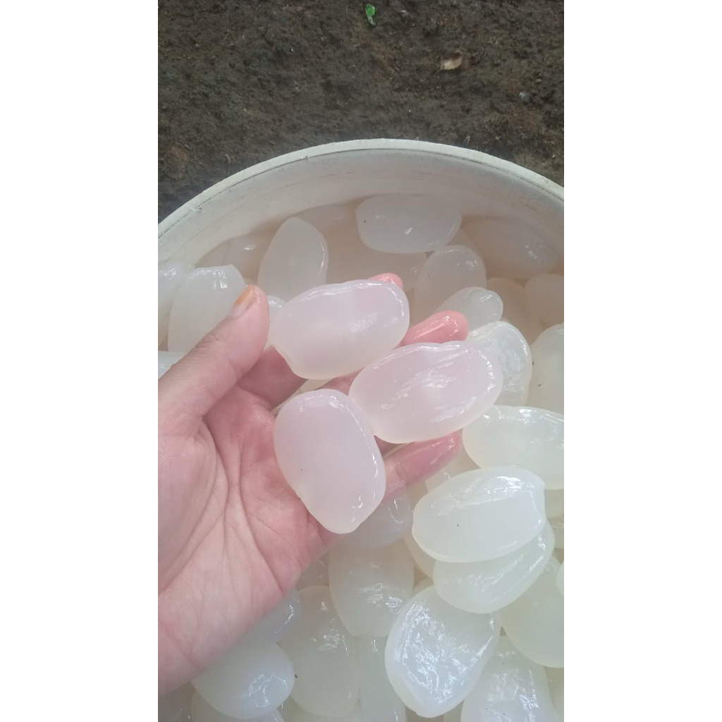 kolang kaling super kolang kaling premium kolang kalng jumbo 1kg