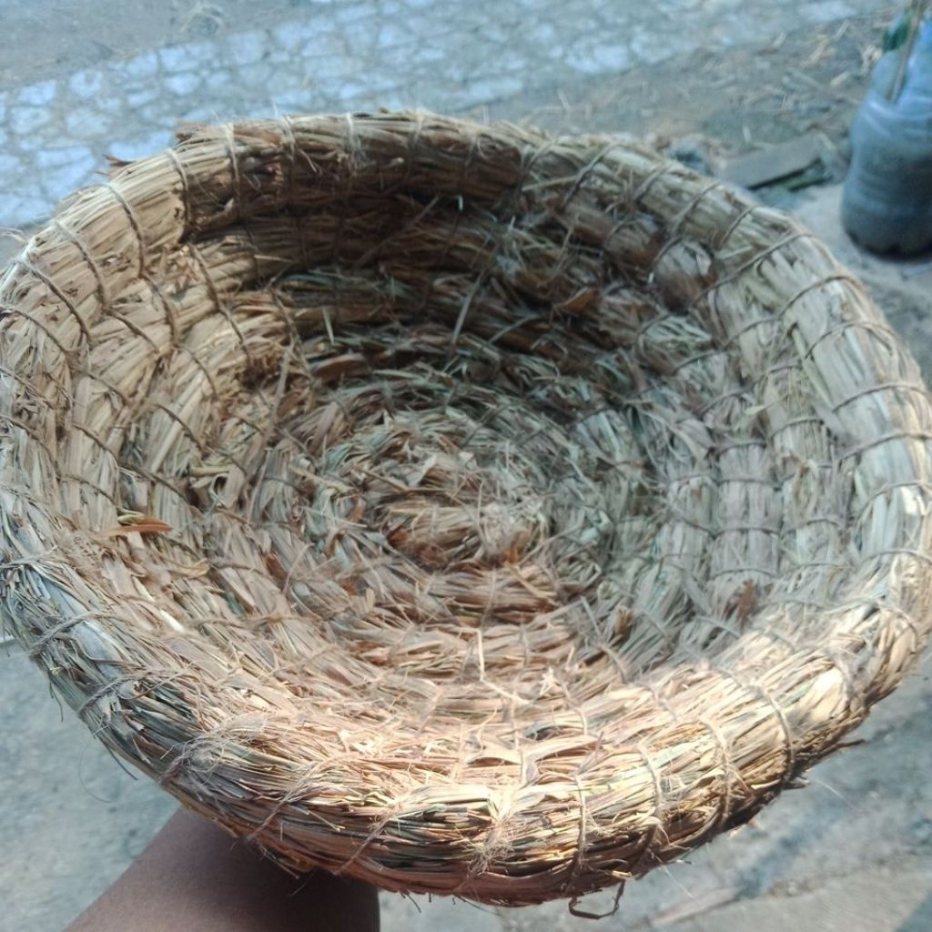 petarangan ayam kampung