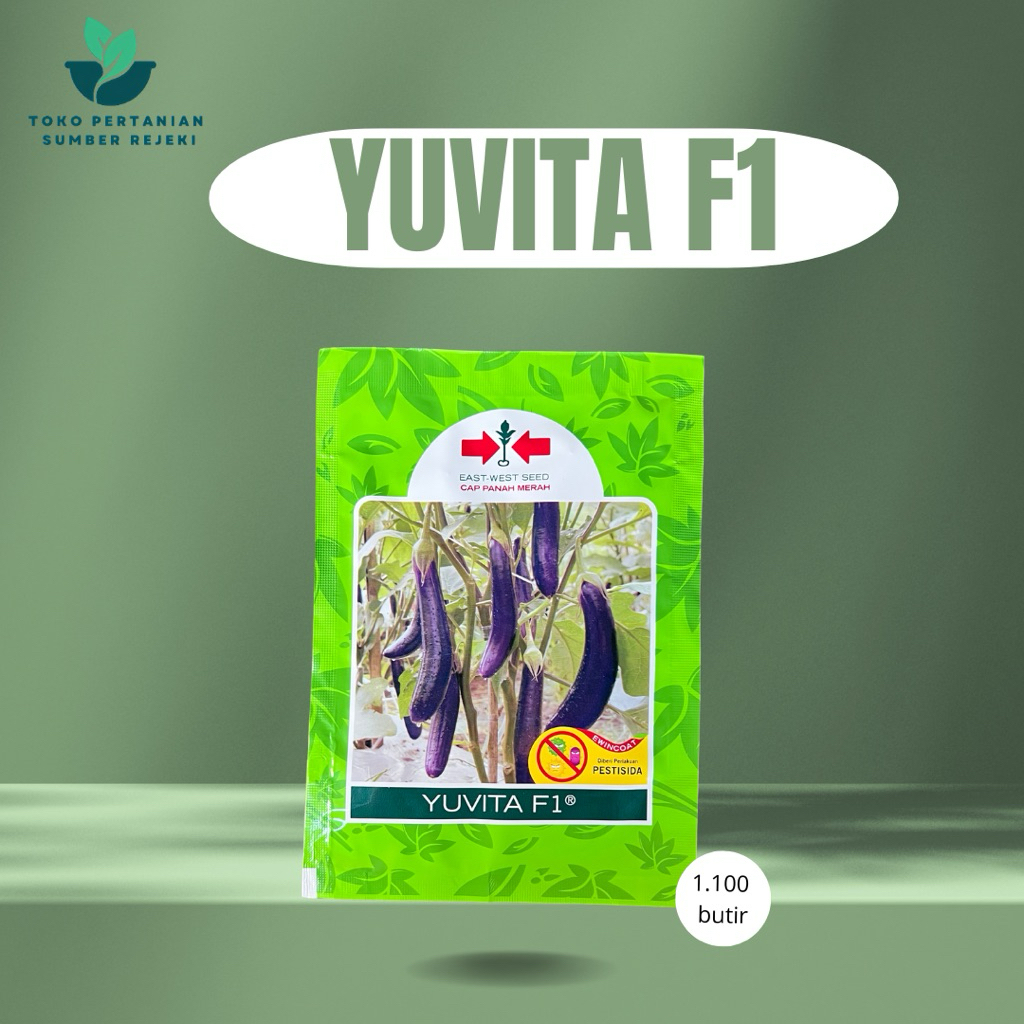 BENIH TERONG YUVITA F1 1.100 BUTIR