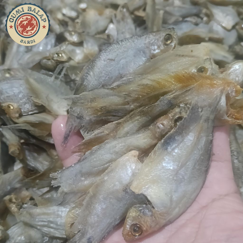 ikan sepat baby/ikan sepat kecil.