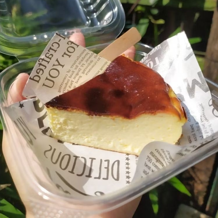 Burnt Cheesecake Slice