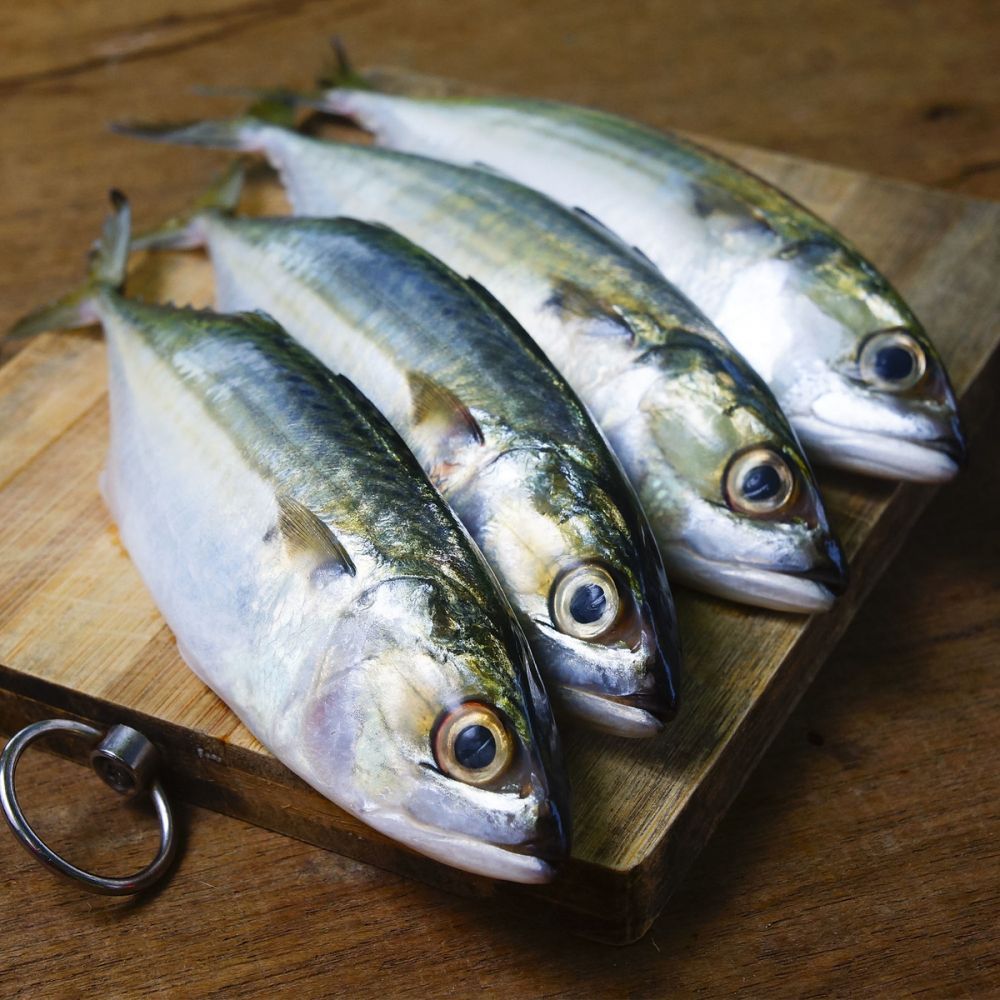 Ikan kembung besar segar dan berkualitas bandung ORDER HARI INI DIKIRIM BESOK PAGI