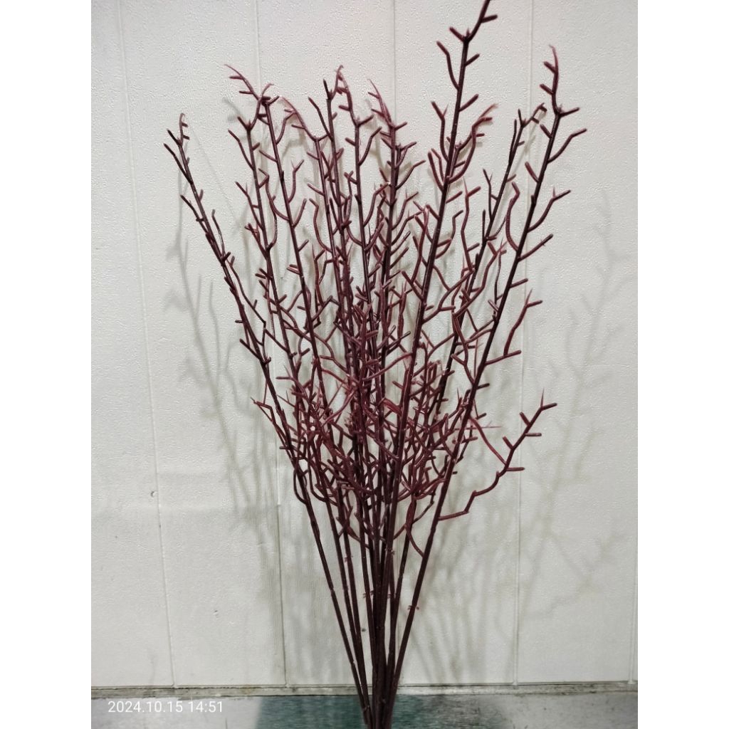 Tangkai bunga sakura