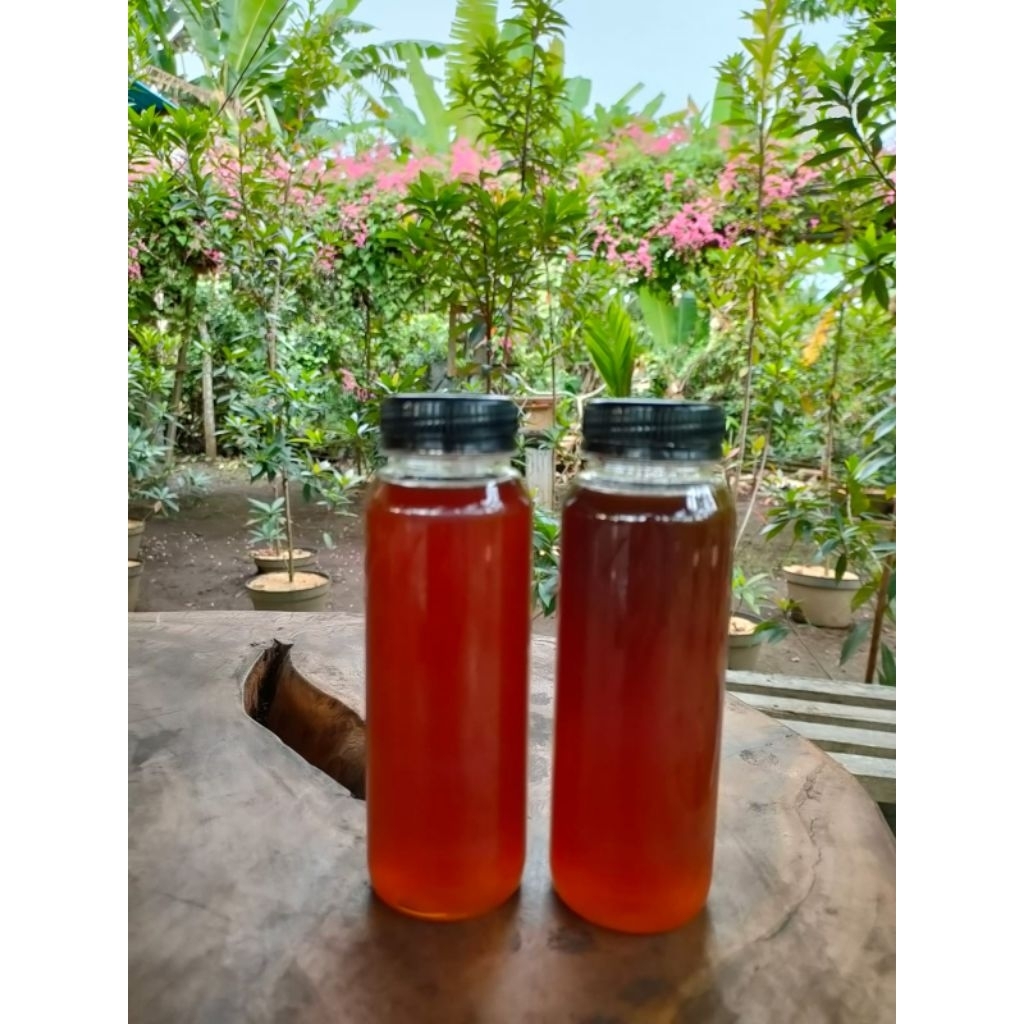 

Madu murni, madu asli, madu trigona, madu kelulut, madu klanceng 250 mL