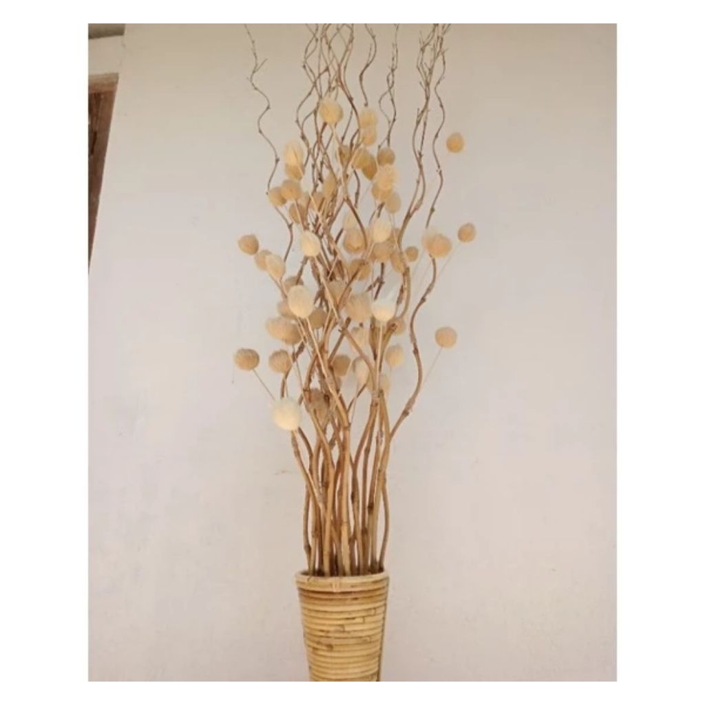 STIK KOIN ULIR STIK KOIN Stik koin bambu stik koin bambu ulir stik koin dekorasi ruangan dekorasi ni