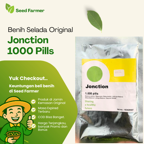 Bibit Benih Selada Batavia Jonction Junction RZ Rijk Zwaan 1000 Pills Original Pabrik