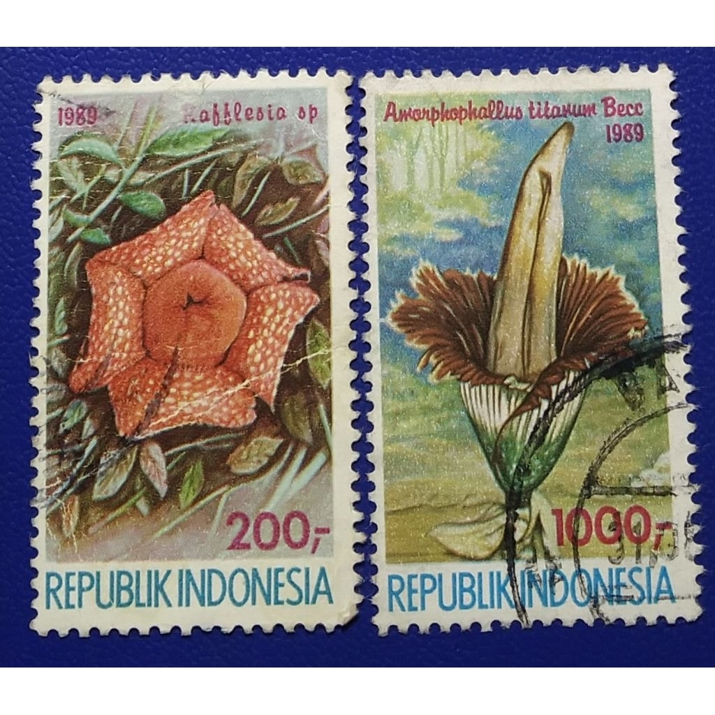 

Prangko Lawas RI Set Lengkap Bunga Raflesia 1989