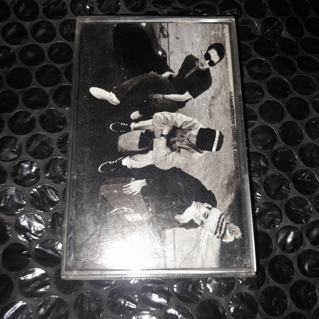 kaset pita beastie boys check your head